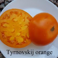 Tyrnovskij Orange